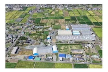 フランスベッド 羽毛布団 シングル2枚組(合掛け＋肌掛け)「 アルカナム 」寝具 布団 5865