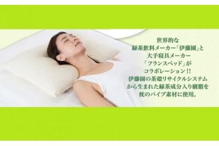 【フランスベッド】グリーンティ・ピローS( お茶の枕 まくら )寝具 布団 枕  5877　