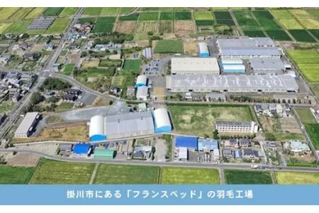 【フランスベッド】グリーンティ・ピローS( お茶の枕 まくら )寝具 布団 枕  5877　