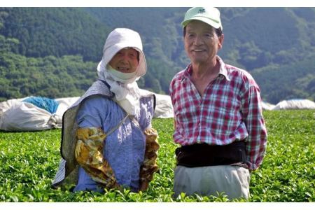 「 こみなみ 」水出しティーバッグ20個×5袋 ギフト箱入 煎茶 茶葉 お茶 緑茶 掛川茶 1878