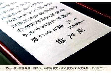 「 こみなみ 」水出しティーバッグ20個×5袋 ギフト箱入 煎茶 茶葉 お茶 緑茶 掛川茶 1878