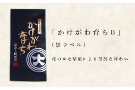 深蒸し掛川茶 三昧セット 100g×３袋 （ギフト箱入）（新茶･令和7年5月下旬より発送　②令和6年度産：今すぐ発送） 三重大製茶 （※新茶受付あり） 1880