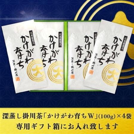 深蒸し掛川茶「かけがわ育ちW」100g×4袋セット【配送不可地域：離島・沖縄県】【1091968】