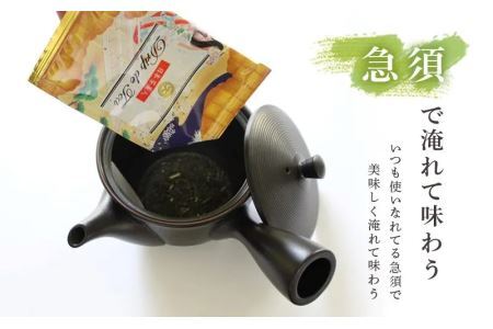 日本茶美人 一煎パック3g×60袋 ドリップフィルター30枚付　深蒸し掛川茶　三重大製茶 煎茶 茶葉 お茶 緑茶 掛川茶  1951