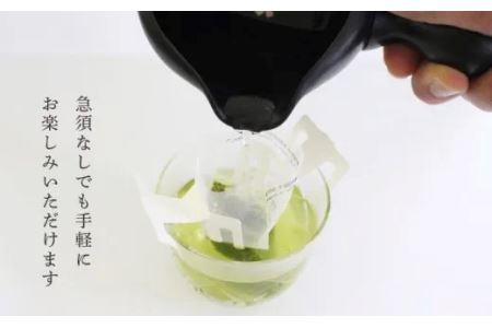 日本茶美人 一煎パック3g×60袋 ドリップフィルター30枚付　深蒸し掛川茶　三重大製茶 煎茶 茶葉 お茶 緑茶 掛川茶  1951