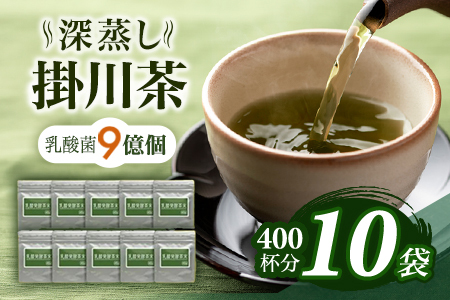 乳酸菌で発酵させた深蒸し掛川茶 乳酸発酵茶末 40g×10袋・計400ｇ（ 深蒸し掛川茶パウダー 機能性 健康の緑茶 ）山英 6315