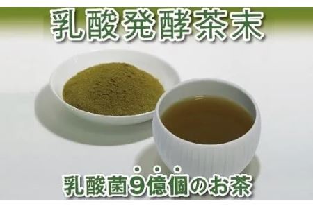 乳酸菌で発酵させた深蒸し掛川茶 乳酸発酵茶末 40g×10袋・計400ｇ（ 深蒸し掛川茶パウダー 機能性 健康の緑茶 ）山英 6315