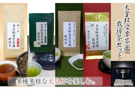 天皇杯受賞茶園栽培茶 ４種９袋セット（ 深蒸し掛川茶 ）山英 6316