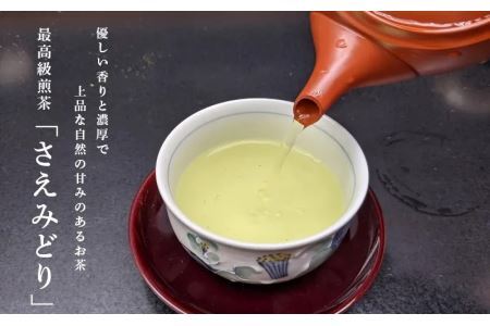 最高級煎茶「さえみどり」100gx5本 煎茶 茶葉 お茶 緑茶 掛川茶 1876