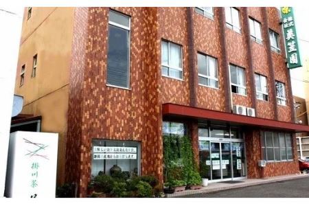 手摘み深蒸し掛川茶100g×3缶 煎茶 茶葉 お茶 緑茶 掛川茶 1939