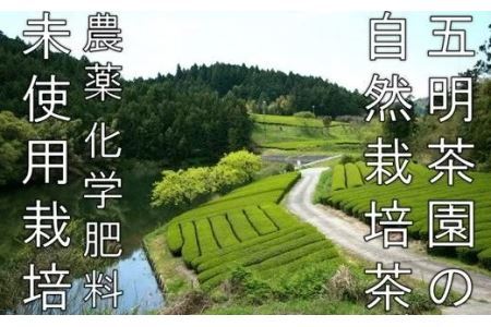 農薬+化学肥料未使用！自然栽培茶100g×3袋 オーガニック 煎茶 茶葉 お茶 緑茶 掛川茶  2035