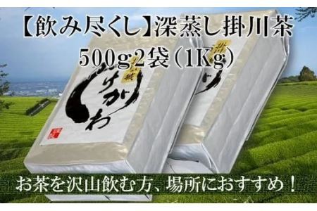深蒸し掛川茶飲み尽くし用セット 500g× 2袋 計1kg　煎茶 茶葉 お茶 緑茶 掛川茶  7191