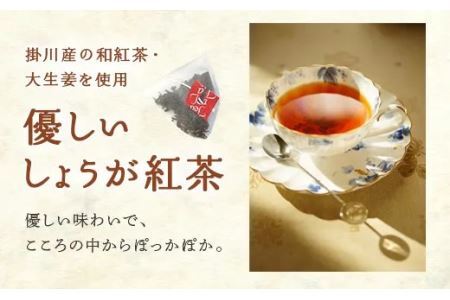 優しい しょうが 紅茶 ｢ ジンジャーティー 」( 紅茶､生姜､共に掛川産 ) ティーバッグ 2ｇ×13入×5袋･計６５個 美笠園 深蒸し茶 2037