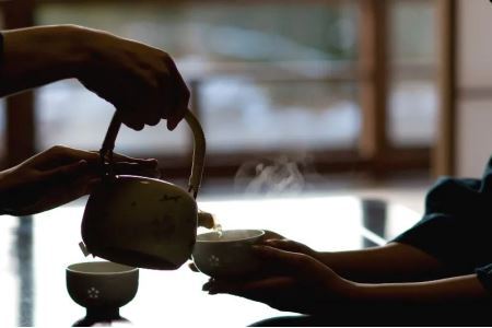 【訳あり】エコ袋・緑茶ティーバッグ8g×50個×2袋 煎茶 茶葉 お茶 緑茶 掛川茶 2040