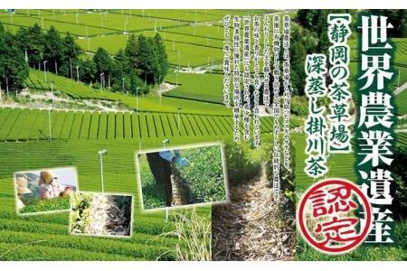 三冠茶園の深蒸し掛川茶 計2.6kg！　全国初の快挙！日本三大品評会 農林水産大臣賞受賞 2043