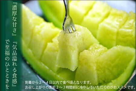 【通年出荷】クラウンメロン(白等級)1.0kg　2玉詰 6181　