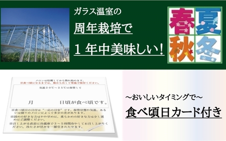 【通年出荷】クラウンメロン(山等級)　１玉詰【品格溢れる贈答級品】 6189