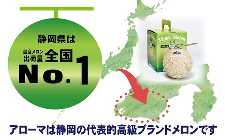 【通年出荷】アローマメロン 白等級(中玉) 1玉入 6234