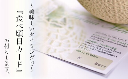 【通年出荷】アローマメロン 白等級(中玉) 1玉入 6234