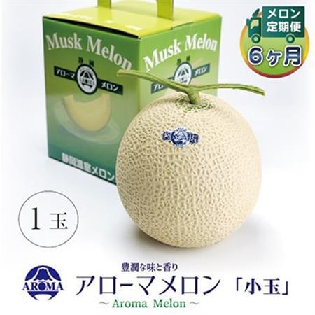 【毎月定期便】アローマメロン(小玉) 1玉 全6回 6244