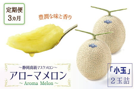【毎月定期便】アローマメロン(小玉) 2玉 全3回 6246