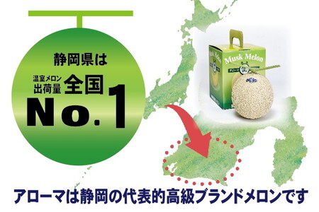 【毎月定期便】アローマメロン(小玉) 2玉 全3回 6246