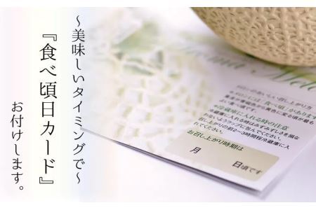 【毎月定期便】アローマメロン(白等級) 1玉 全6回 6250