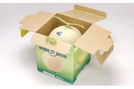 【毎月定期便】アローマメロン(白等級) 1玉 全6回 6250