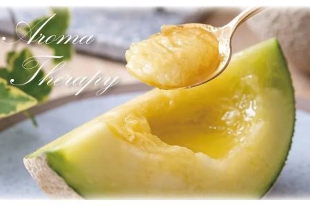 【毎月定期便】アローマメロン白等級(中玉) 1玉 全6回 6259