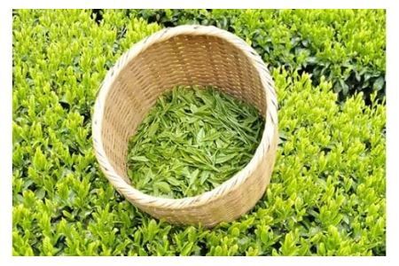 希少な「 手摘み 掛川茶 」 40ｇ × 4袋 ･ 計160ｇセット 深蒸し掛川茶  佐々木製茶 １８９０