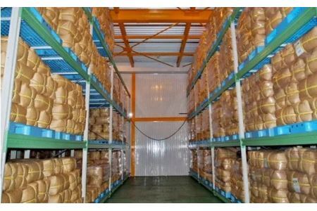 【訳あり・大容量】昨年のお茶でもいいよ。という方向け100g×10本　深蒸し掛川茶   1900