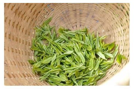 希少品種！幻の手摘み茶「摩利支(まりし)」50g×3本入 1932