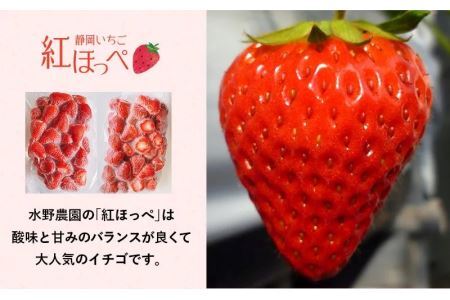 冷凍イチゴ 紅ほっぺ 2.2㎏（1.1g×2袋）完熟いちご ヘタなし スムージー アイス いちご 6377