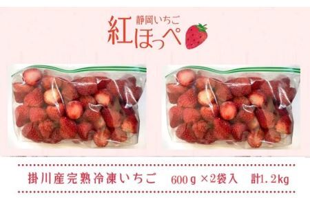 冷凍イチゴ 紅ほっぺ 1.2㎏　6376