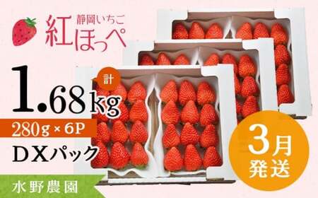 掛川産 完熟いちご 紅ほっぺ  280g×6P 1.68kg(8～15粒入×6P) 3月発送 受付順に順次発送・ 水野農園 6281