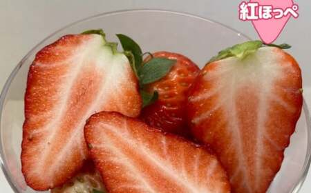 【26年1～2月頃順次発送】紅ほっぺ・すずの薫り各280g×2P 合計 1.12kg  完熟いちご 7121
