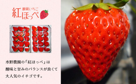 【2026年先行予約】紅ほっぺ 280g×4P(合計1.12kg) 完熟いちご イチゴ フルーツ 果物 6891