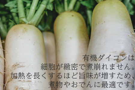 【冬季限定】有機ダイコン6㎏(5本～8本)（12月・1月・2月発送）農薬・化学肥料不使用 有機JAS認証 オーガニック 野菜 だいこん 大根 2136