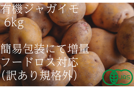 【訳あり（フードロス）】有機ジャガイモ3㎏（6月・7月・8月発送）規格外 オーガニック 野菜 無農薬 じゃがいも 馬鈴薯 ばれいしょ アンデスレッド キタアカリ メークイン 2137