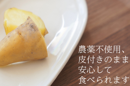 【訳あり（フードロス）】有機ジャガイモ3㎏（6月・7月・8月発送）規格外 オーガニック 野菜 無農薬 じゃがいも 馬鈴薯 ばれいしょ アンデスレッド キタアカリ メークイン 2137