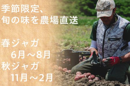 【訳あり（フードロス）】有機ジャガイモ3㎏（6月・7月・8月発送）規格外 オーガニック 野菜 無農薬 じゃがいも 馬鈴薯 ばれいしょ アンデスレッド キタアカリ メークイン 2137