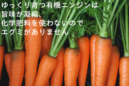 【訳あり（フードロス）】有機ニンジン4kg（12月・1月・2月発送）規格外 オーガニック  野菜 無農薬 にんじん　人参 2138