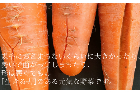 【訳あり（フードロス）】有機ニンジン4kg（12月・1月・2月発送）規格外 オーガニック  野菜 無農薬 にんじん　人参 2138