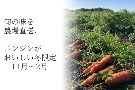 【訳あり（フードロス）】有機ニンジン4kg（12月・1月・2月発送）規格外 オーガニック  野菜 無農薬 にんじん　人参 2138