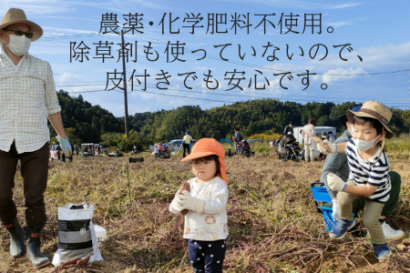 【訳あり（フードロス）】有機サツマイモ2㎏（12月・1月・2月発送）規格外 オーガニック 野菜 無農薬 さつまいも 甘藷 2140