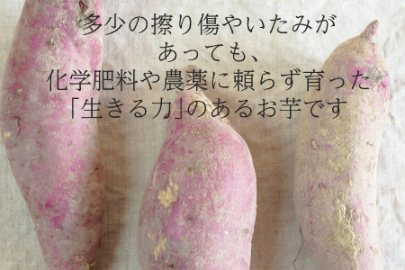 【訳あり（フードロス）】有機サツマイモ2㎏（12月・1月・2月発送）規格外 オーガニック 野菜 無農薬 さつまいも 甘藷 2140