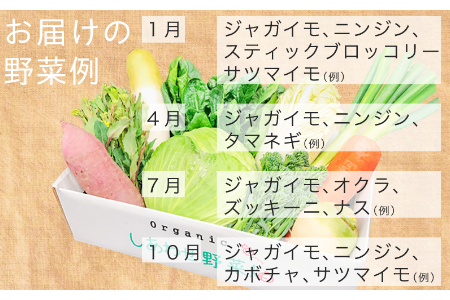 農場直送！カレーに使えるお野菜3～4種類　無農薬 オーガニック 2142