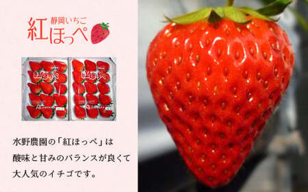 掛川産完熟いちご 紅ほっぺ  280g×6P 1.68kg(8～15粒入×6P)　５月発送　6433