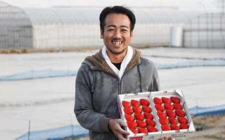 掛川産完熟いちご 紅ほっぺ  280g×6P 1.68kg(8～15粒入×6P)　５月発送　6433