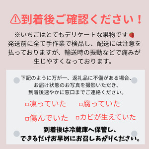 いちご　紅ほっぺ【26年3月配送】280g×4P(合計1.12kg) ｜完熟いちご 6435